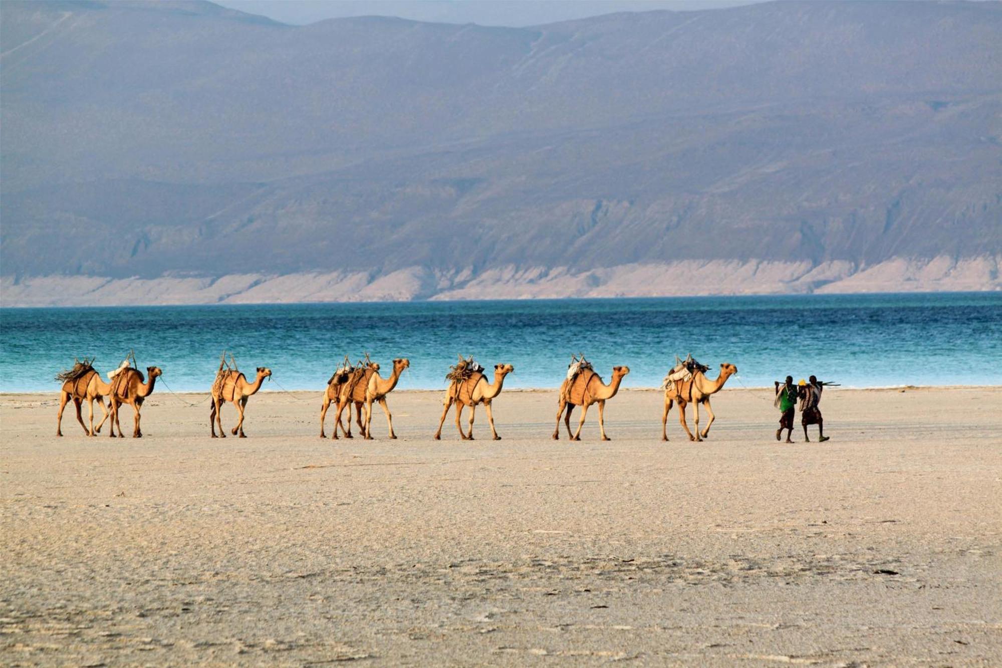 Djibouti Palace Kempinski Djibouti City Buitenkant foto